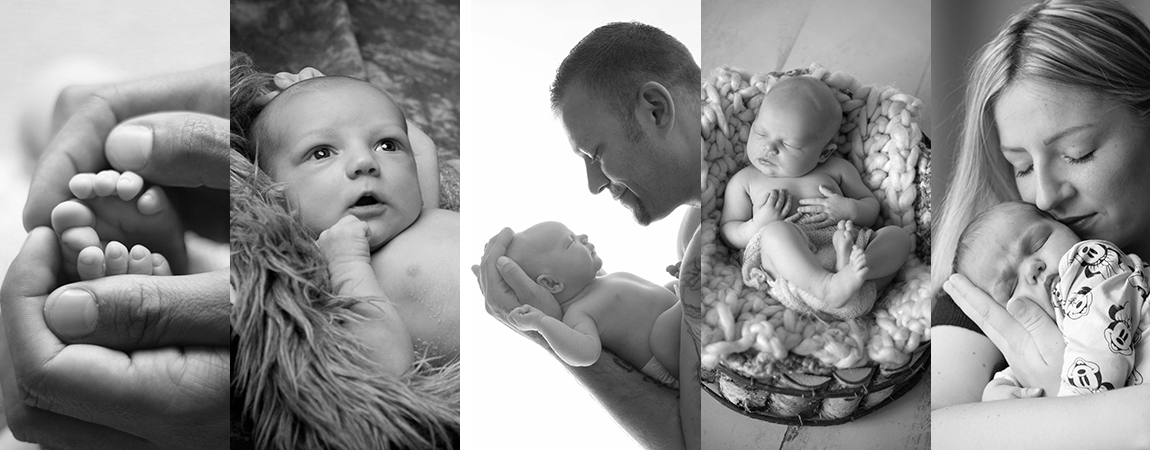 Fotoknopf - Animation